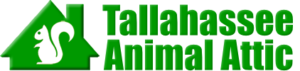 Tallahassee Animal Attic